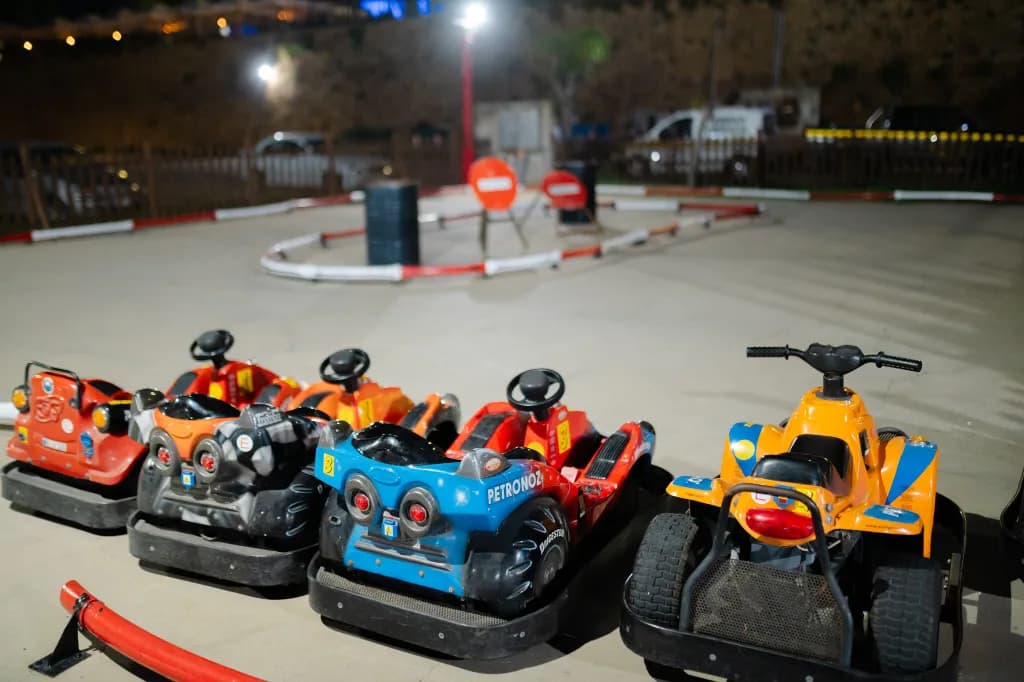 Gallery thumbnail image 13